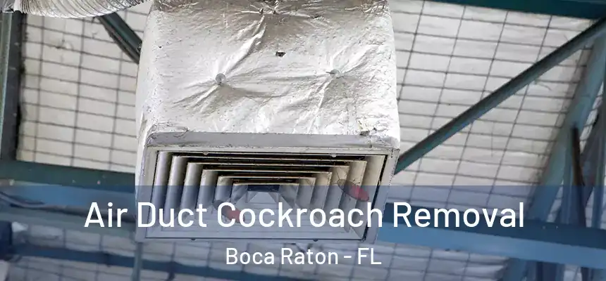 Air Duct Cockroach Removal Boca Raton - FL