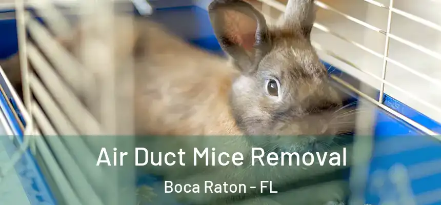 Air Duct Mice Removal Boca Raton - FL