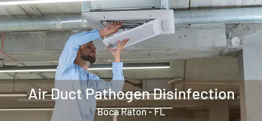 Air Duct Pathogen Disinfection Boca Raton - FL