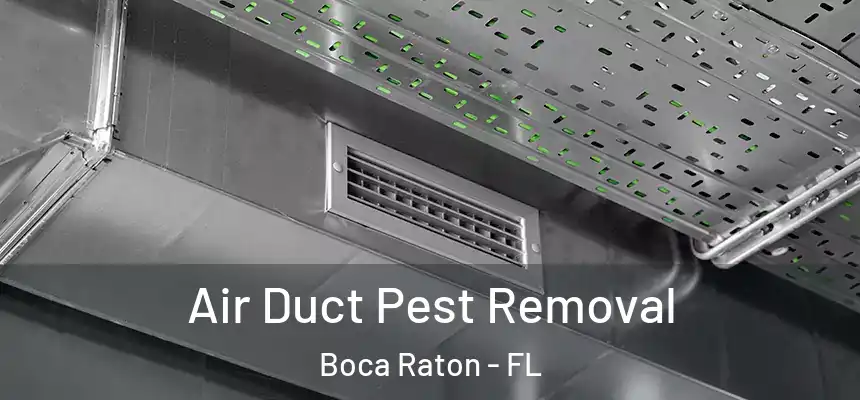 Air Duct Pest Removal Boca Raton - FL