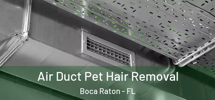  Air Duct Pet Hair Removal Boca Raton - FL