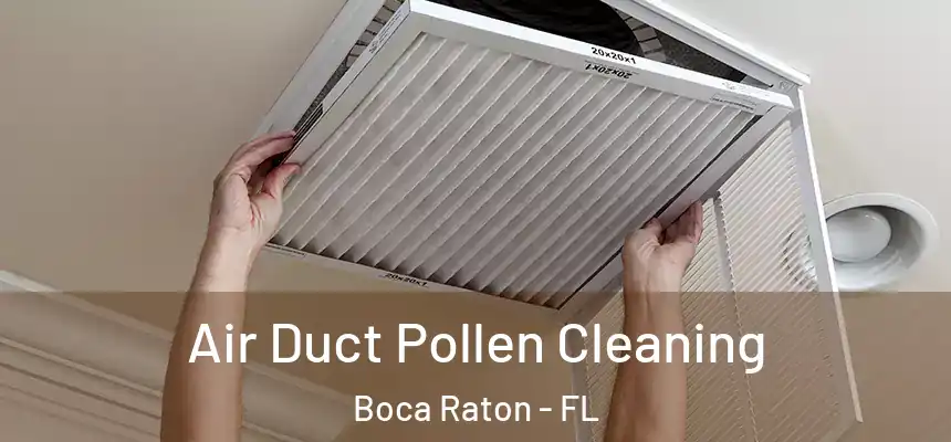 Air Duct Pollen Cleaning Boca Raton - FL