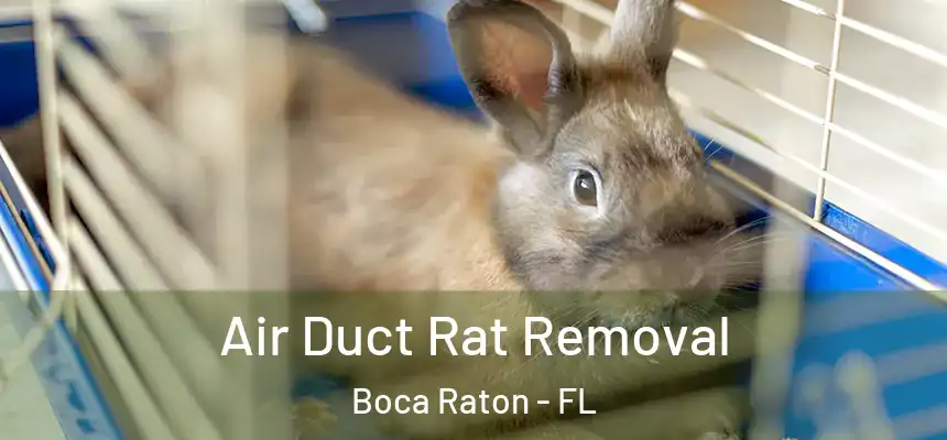 Air Duct Rat Removal Boca Raton - FL