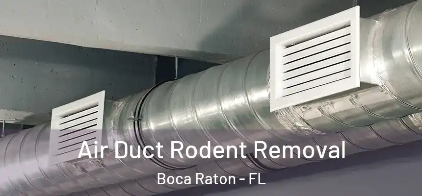 Air Duct Rodent Removal Boca Raton - FL