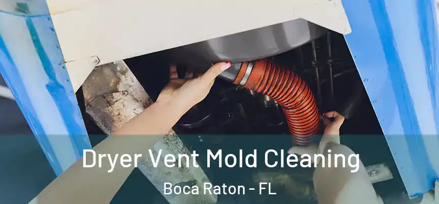 Dryer Vent Mold Cleaning Boca Raton - FL