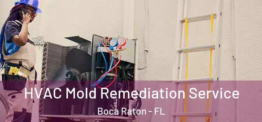 HVAC Mold Remediation Service Boca Raton - FL