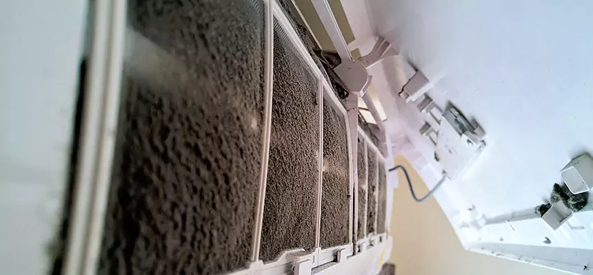 Preventive Air Duct Bacteria Removal in Boca Raton
