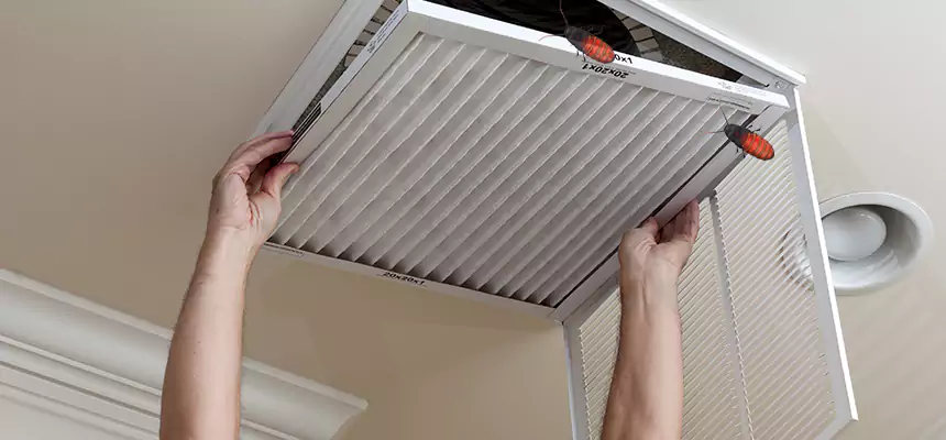 Preventive Cockroach-Proofing for Ducts in Boca Raton