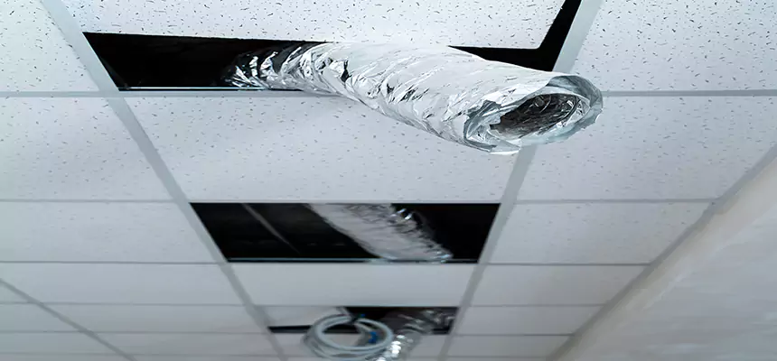 Affordable HVAC Sanitizing After Pest Removal in Boca Raton