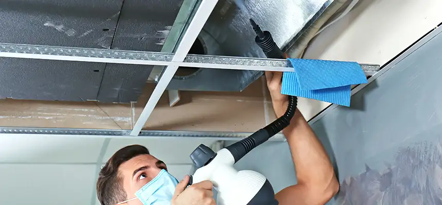 Our Air Duct Rodent Removal Services in Boca Raton, FL
