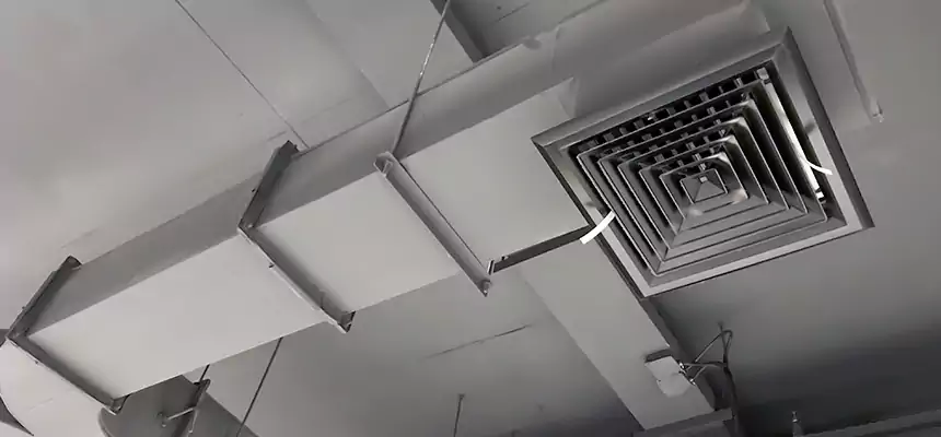 Restorative Allergy Relief Vent Cleaning – Coil, Blower & Housing Detail in Boca Raton