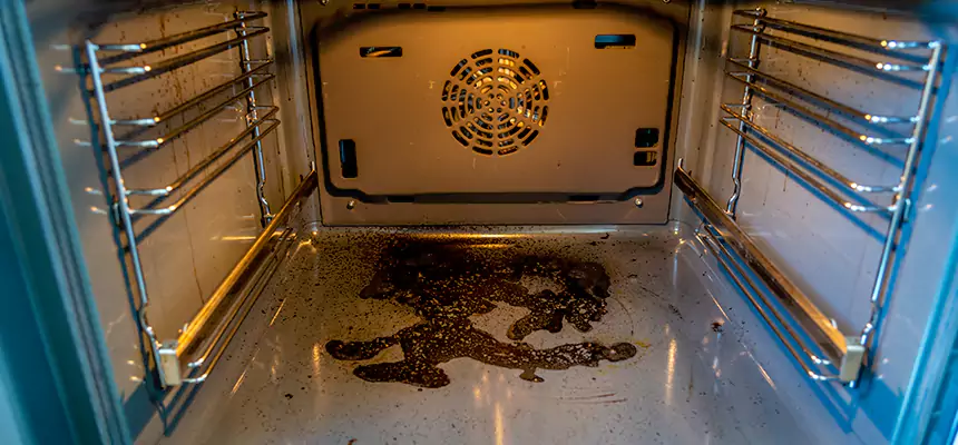 Our Dryer Vent Mold Cleaning Services in Boca Raton, FL