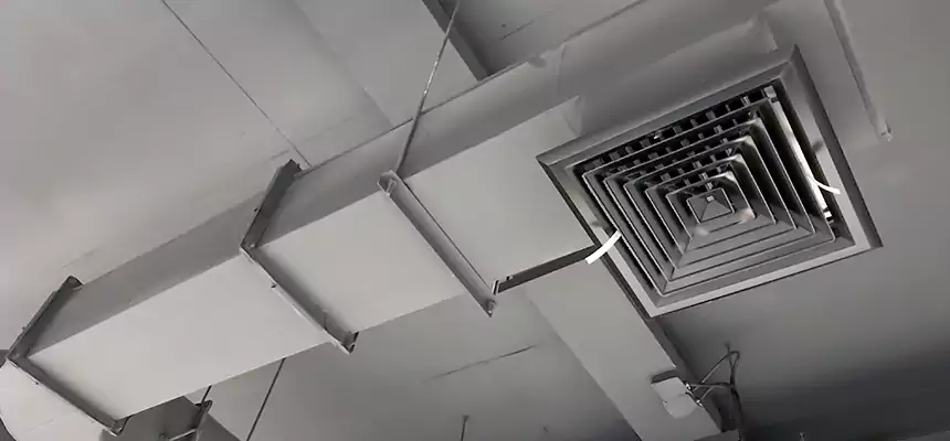 Our Pest Removal From Ducts Services in Boca Raton, FL