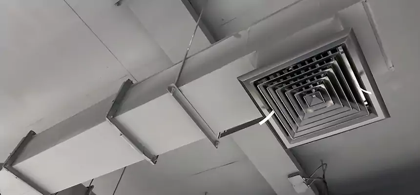 Our Rodent Droppings In Vents Services in Boca Raton, FL