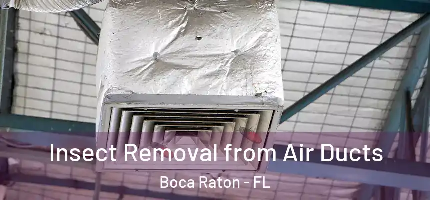 Insect Removal from Air Ducts Boca Raton - FL