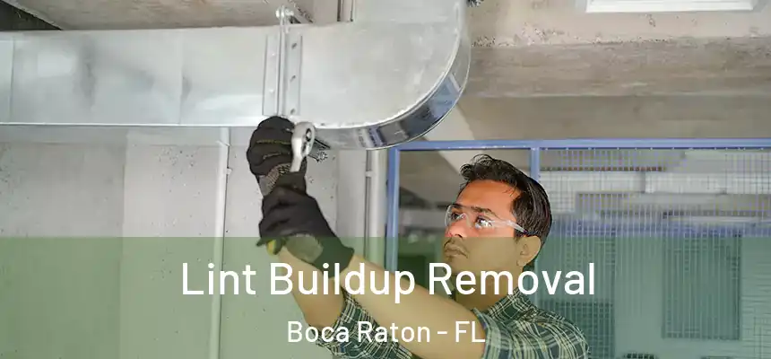 Lint Buildup Removal Boca Raton - FL
