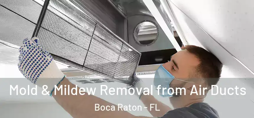 Mold & Mildew Removal from Air Ducts Boca Raton - FL