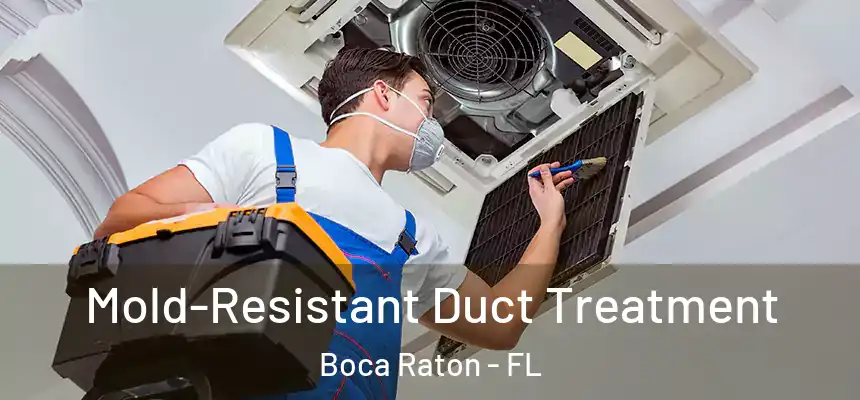 Mold-Resistant Duct Treatment Boca Raton - FL