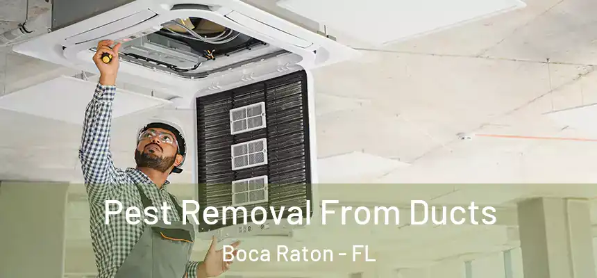 Pest Removal From Ducts Boca Raton - FL