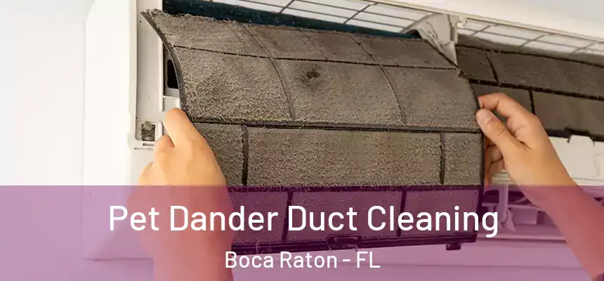 Pet Dander Duct Cleaning Boca Raton - FL