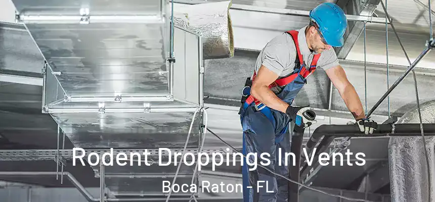 Rodent Droppings In Vents Boca Raton - FL