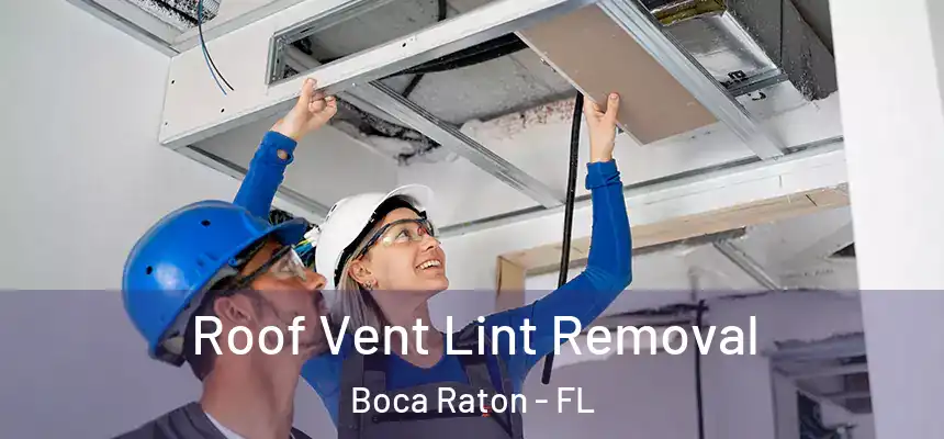 Roof Vent Lint Removal Boca Raton - FL