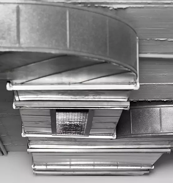 Professional Air Duct Pest Removal in Boca Raton, FL