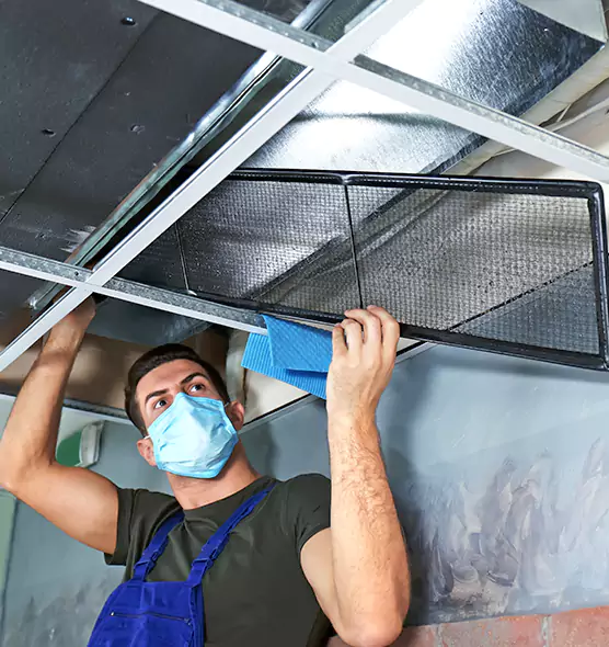 Professional Air Duct Pollen Cleaning in Boca Raton, FL