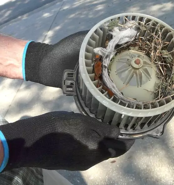 About Air Duct Rat Removal in Boca Raton, FL