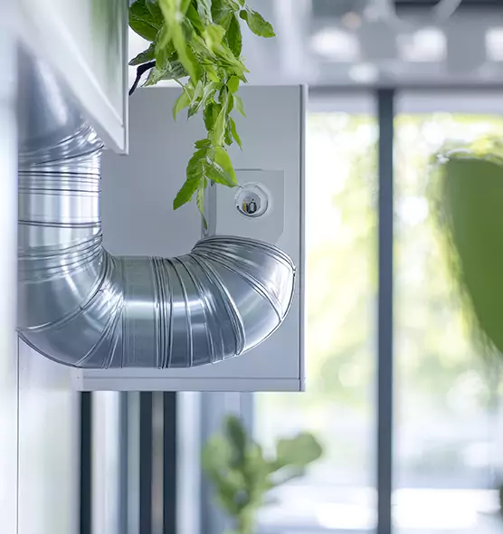 Professional Eco-Friendly Duct Cleaning Services in Boca Raton, FL