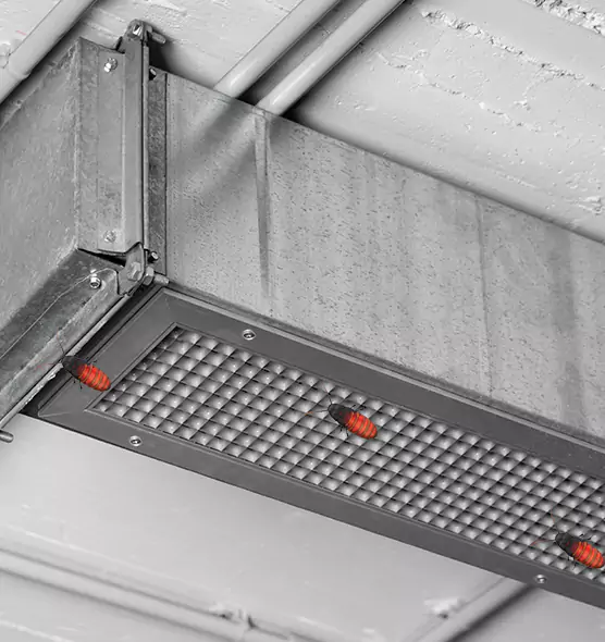 Affordable Insect Removal from Air Ducts in Boca Raton, FL