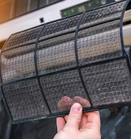 About Pet Dander Duct Cleaning in Boca Raton, FL